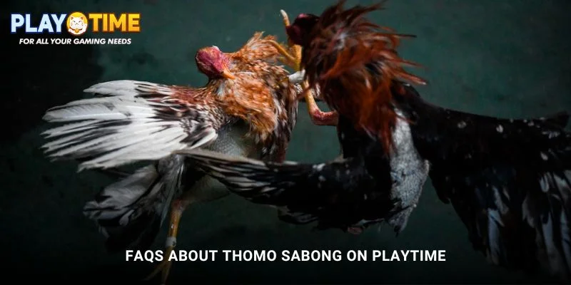 Thomo Sabong at PlayTime – Bet on Rooster Fights Online 3 FAQs about Thomo Sabong on PlayTime